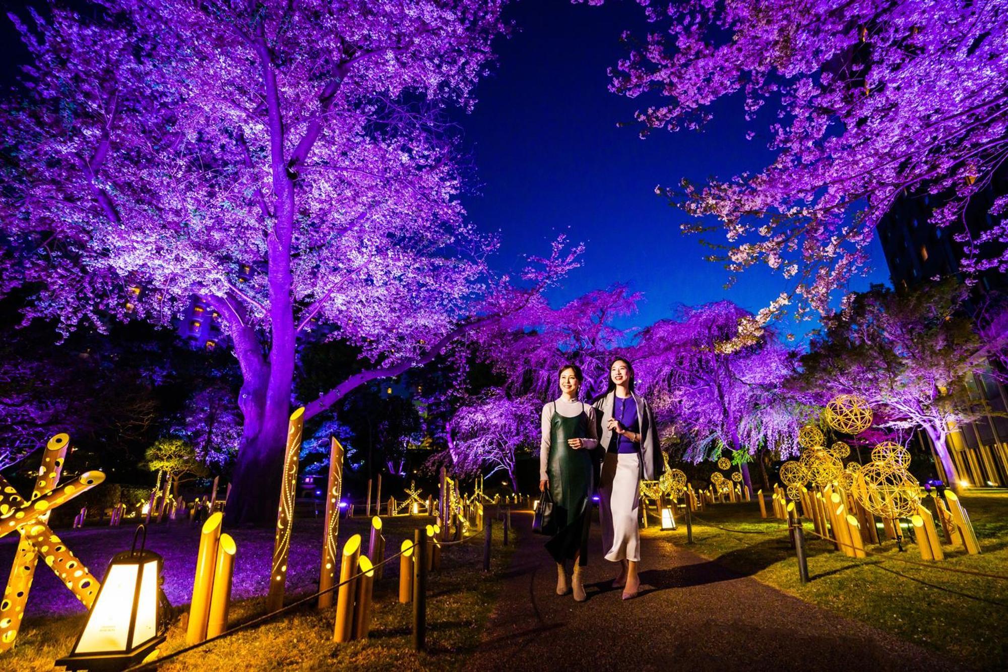 Grand Prince Hotel Takanawa Tóquio Exterior foto Illumination of the park
