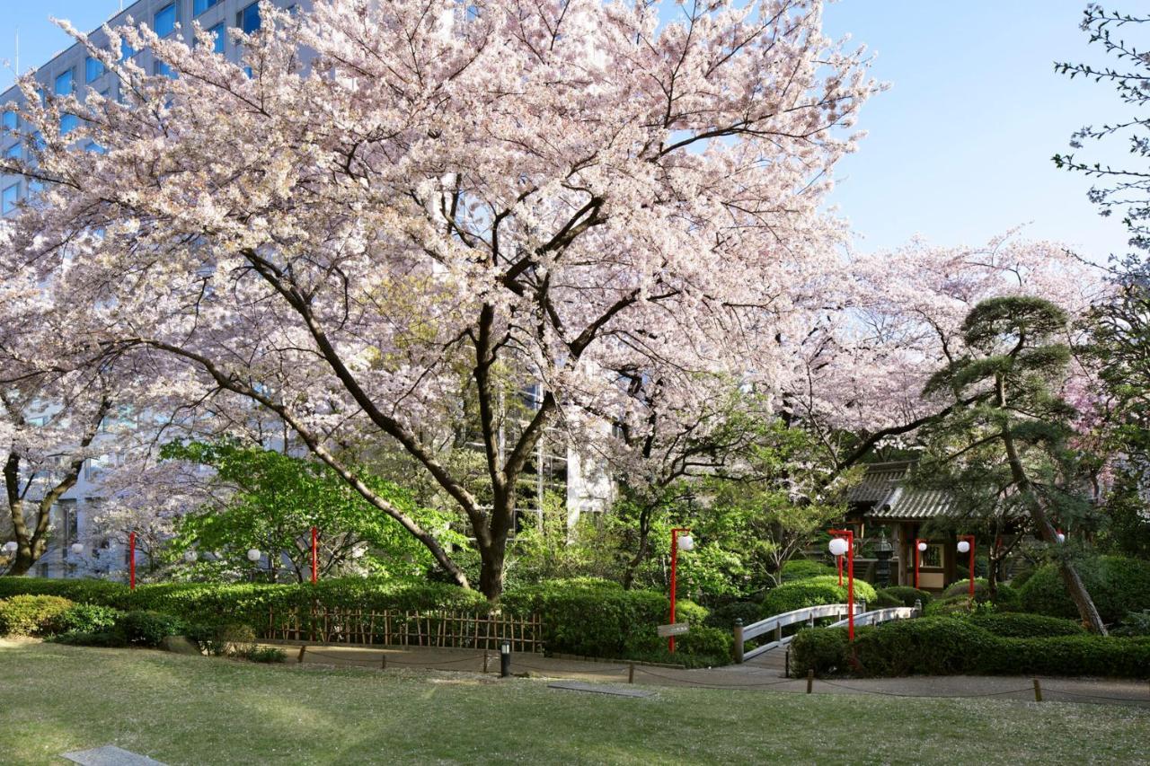 Grand Prince Hotel Takanawa Tóquio Exterior foto Sakura at the Japanese garden