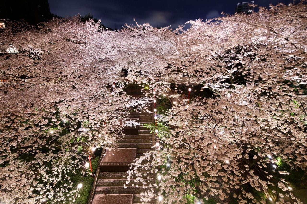 Grand Prince Hotel Takanawa Tóquio Exterior foto Cherry blossoms at night